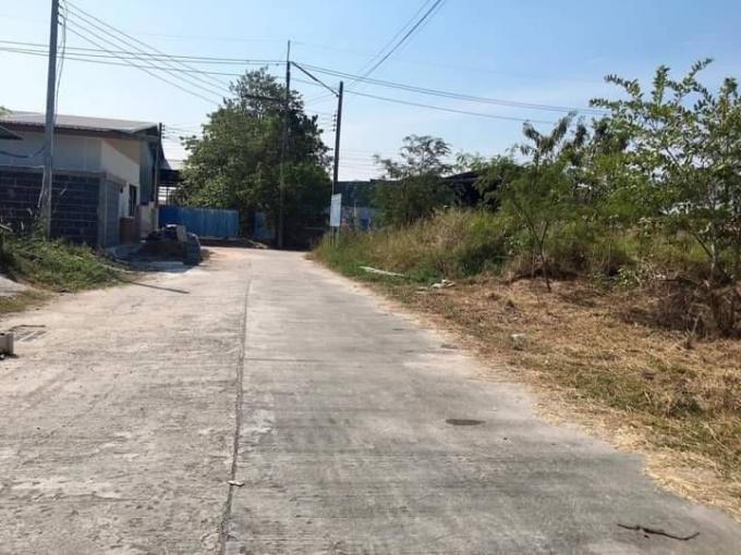 ที่ดินถมแล้วสวย หนองตำลึง 90 ตรว. ภาพที่ 2